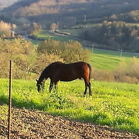 Toscana Country * مونتفردي ماريتيمو