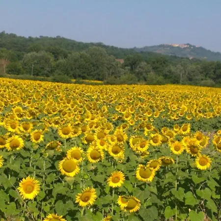 Toscana Country * مونتفردي ماريتيمو